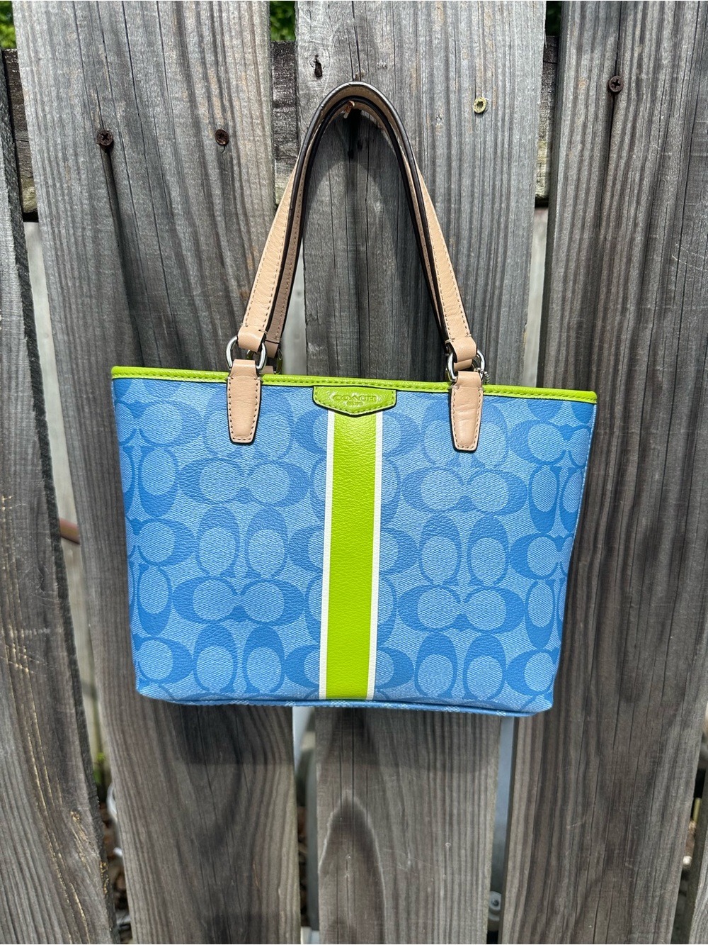 Coach Blue and Green Signature Mini Tote Bag